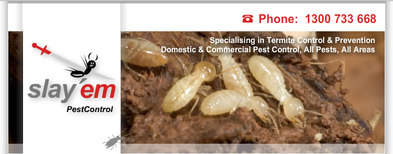 pest control melbourne