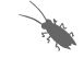 termite control melbourne